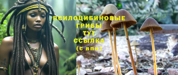 хмурый Волосово