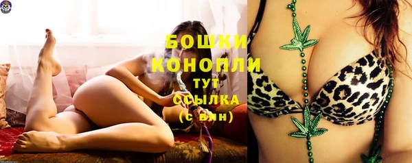 крисы Ачинск