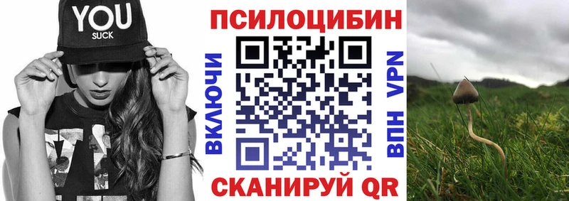 Псилоцибиновые грибы MAGIC MUSHROOMS  Калач-на-Дону 